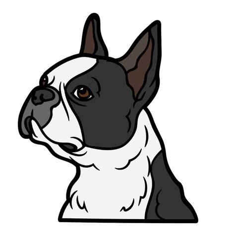 How to Draw a Boston Terrier, Step by Step, Pets, Animals