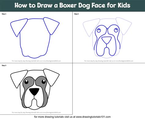 Learn How to Draw a Boxer Dog Face for Kids (Animal Faces