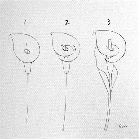 Calla lily step by step for beginner ⠀ 🎨 Watercolorist
