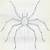 how to draw a camel spider