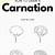 how to draw a carnation step by step