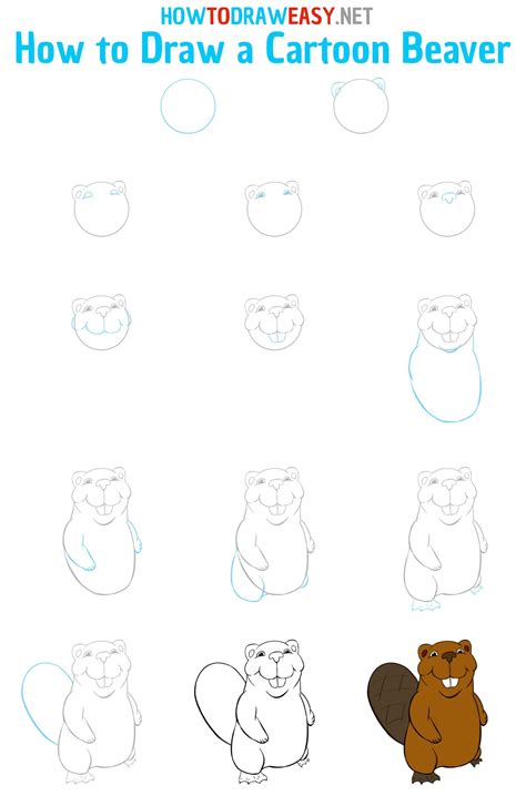 How to draw and paint Animal Beaver STEP BY STEP TADA