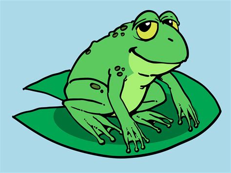 How to Draw a Cute Tree Frog