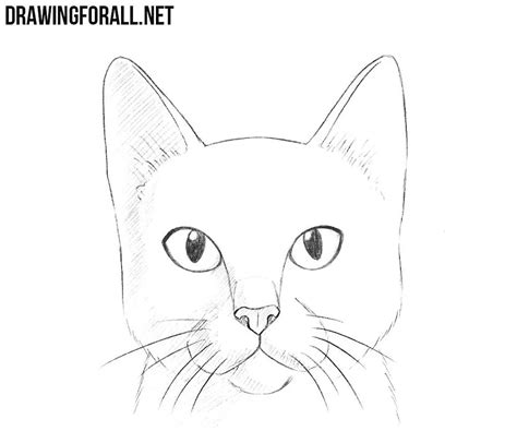 Cat Tutorial Head by PerianArdocyl Comment dessiner un