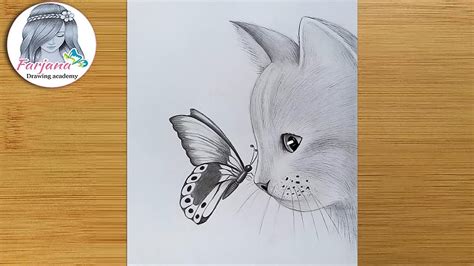 How to Draw Cats with Pencil for the Absolute Beginner