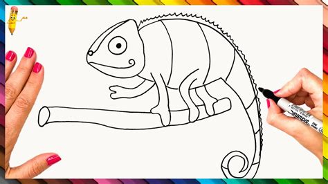 How to Draw a Chameleon Step by Step Easy Drawing Guides