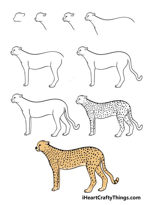 How to draw a realistic cheetah step by step. Drawing