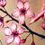 how to draw a cherry blossom tree with colored pencils