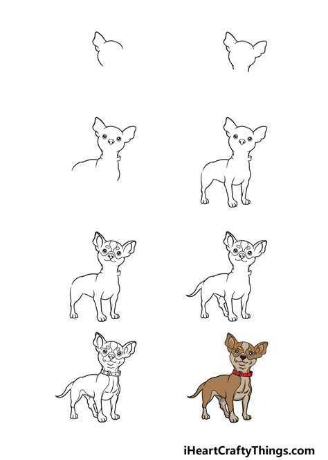 how to draw a chihuahua puppy, chihuahua puppy step 4