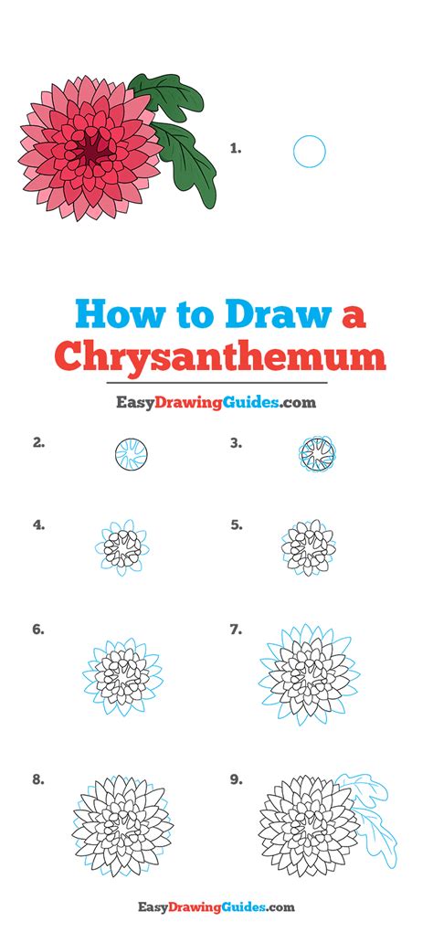 How to draw chrysanthemum in watercolor step by step HiArt