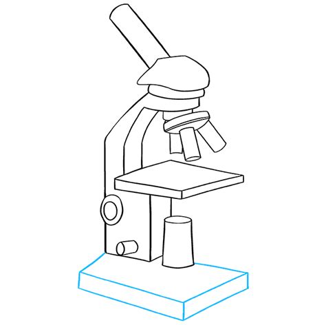 Compound Microscope Drawing Micropedia