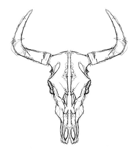 How To Draw Bull Skull Bull Skull Drawing Step By Step