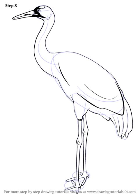 How to Draw a Crane printable step by step drawing sheet