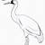 how to draw a crane bird step by step