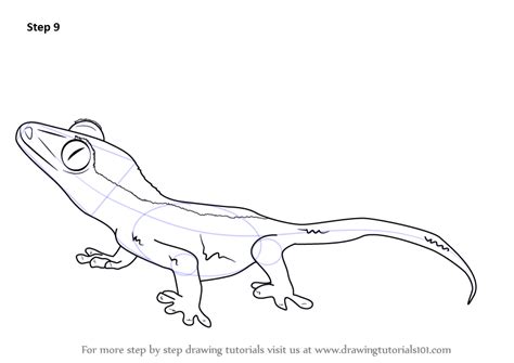How to Draw a Crested Gecko printable step by step drawing