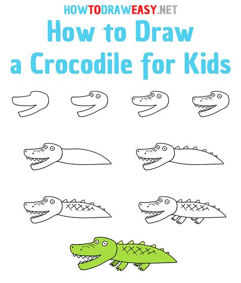 How To Draw Crocodiles Step By Step Reptiles Animals Free