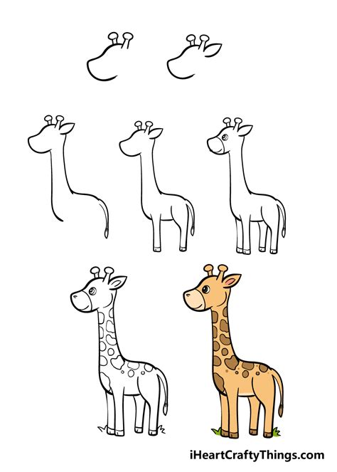 How to Draw a Baby Giraffe Really Easy Drawing Tutorial