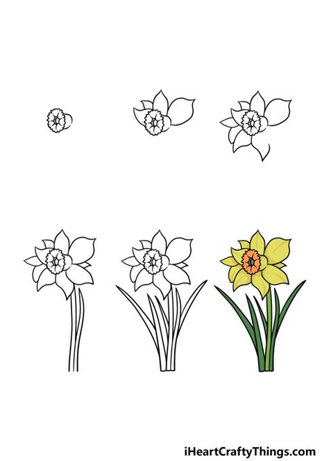 Daffodil Drawing at GetDrawings Free download