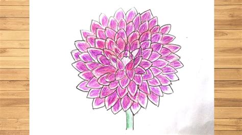 Learn How to Draw Dahlia Flower (Other Flowers) Step by