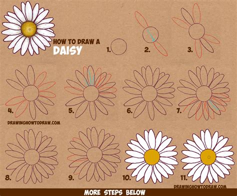 How to Draw A Daisy Step by Step Flower drawing