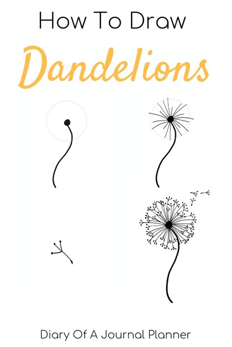 How to Draw A Dandelion Step by Step