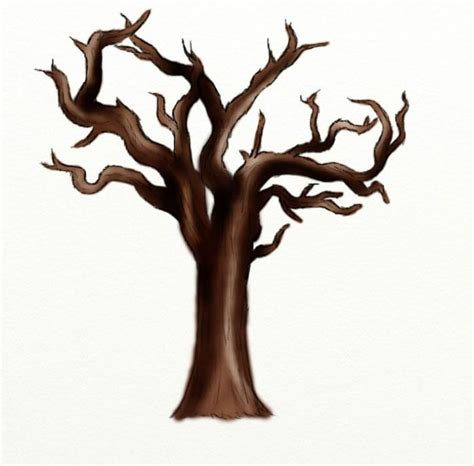 Transparent Dead Tree Png Dead Trees Drawing , Free