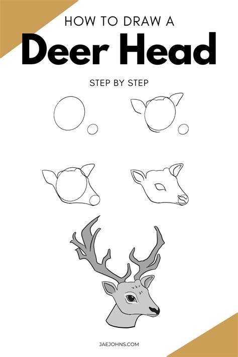 How to draw Easy Deer Head YouTube