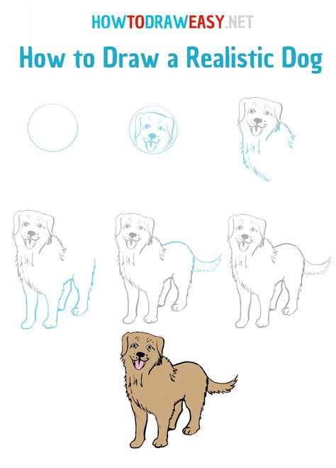 Droll Step By Step Pug Face Drawing l2sanpiero