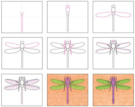 How to draw a dragonfly Step by step Drawing tutorials