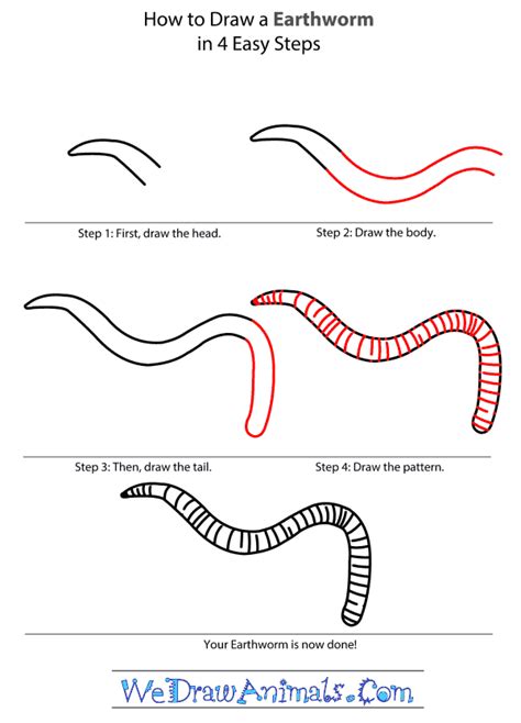 How to Draw a Worm