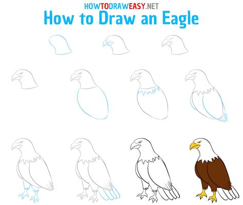 How to Draw a Cartoon Eagle Step by Step for Kids Cute