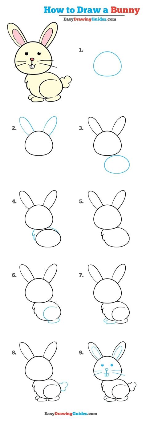 How to draw a cute bunny in 5 steps