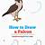 how to draw a falcon step by step
