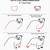 how to draw a ferret step by step