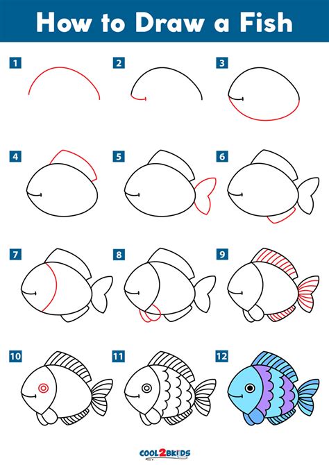 How to draw a Fish Step by Step Drawings Tutorials for