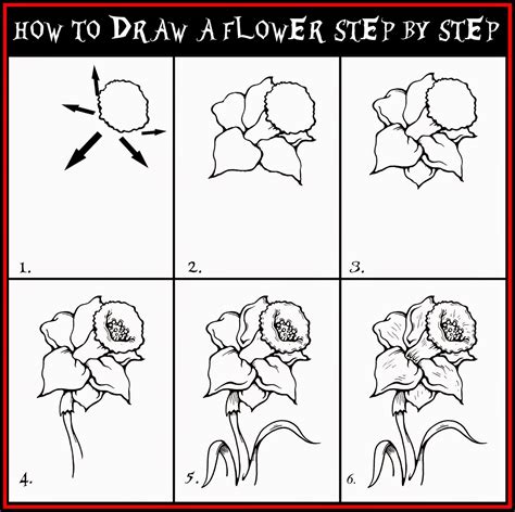 How To Draw A Daisy Flower Art For Kids Hub