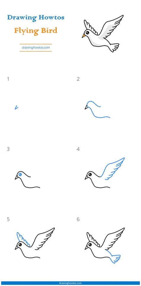 Learn how to draw a cute Bird step by step ♥ very simple