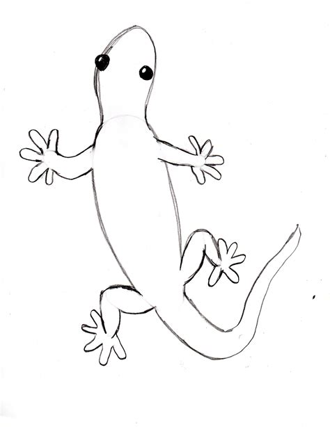 Draw a Gecko Step by Step Samantha Bell