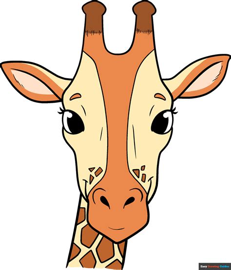 Giraffe Face Drawing at Explore