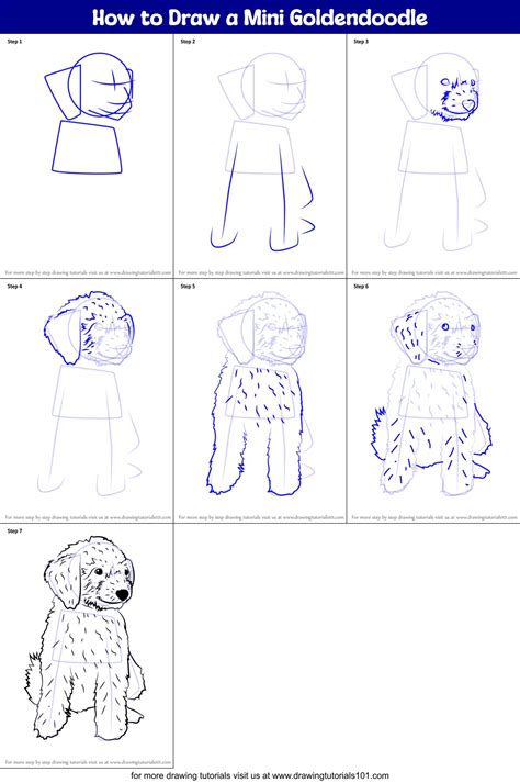 Learn How to Draw a Mini Goldendoodle (Dogs) Step by Step
