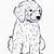 how to draw a goldendoodle puppy step by step