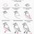 how to draw a goldfinch step by step