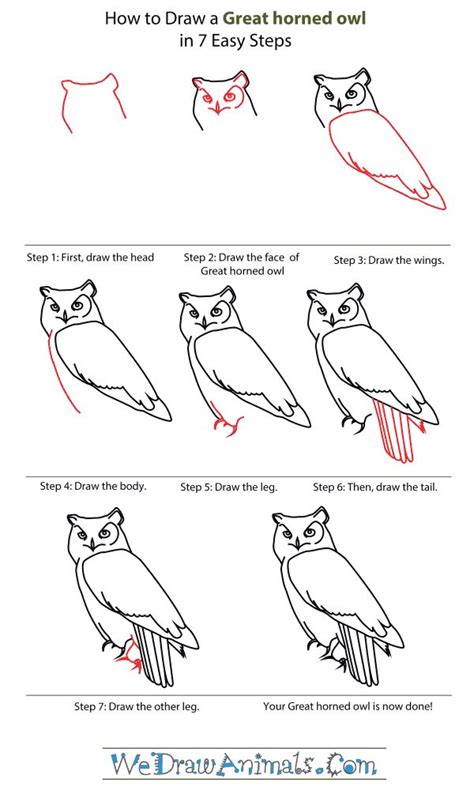 how to draw a owl step by step Google Search Owls