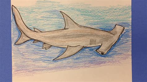 How to Draw a Hammerhead shark / Как нарисовать Акулу