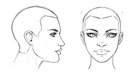 How to Draw Faces from different Angles Imgur Anime