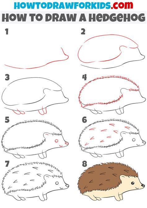 How to Draw a Hedgehog Really Easy Drawing Tutorial