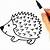 how to draw a hedgehog easy