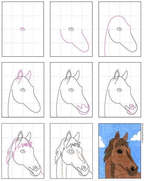 How to Draw a Horse HeadFront View by an0nymous