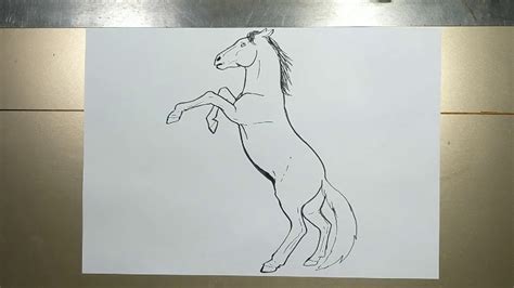 How to draw a horse rearing Drawing Pinterest