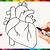 how to draw a human heart step by step